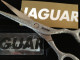 Jaguar Gold Line "Diamond E Diva" 5.5" Champion Class scissor.